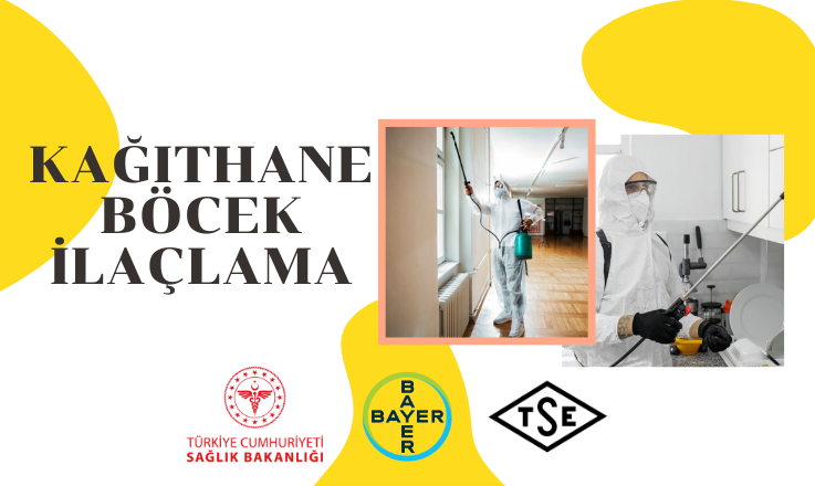 Kağıthane Böcek İlaçlama